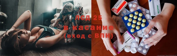 apvp Аркадак